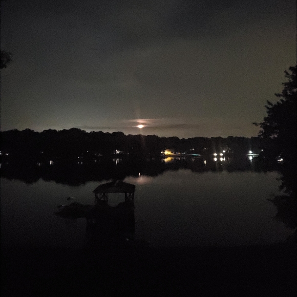 Hey!♡ Im Cat !! - Picture 13 of 16